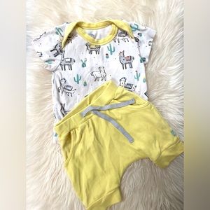 Organic Finn & Emma Shorts and T-Shirt llama Outfit 6-9M GUC